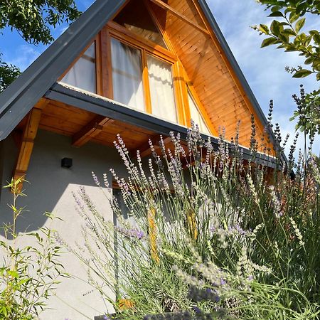 Petrovaradin Chalet Novi Sad Exterior photo