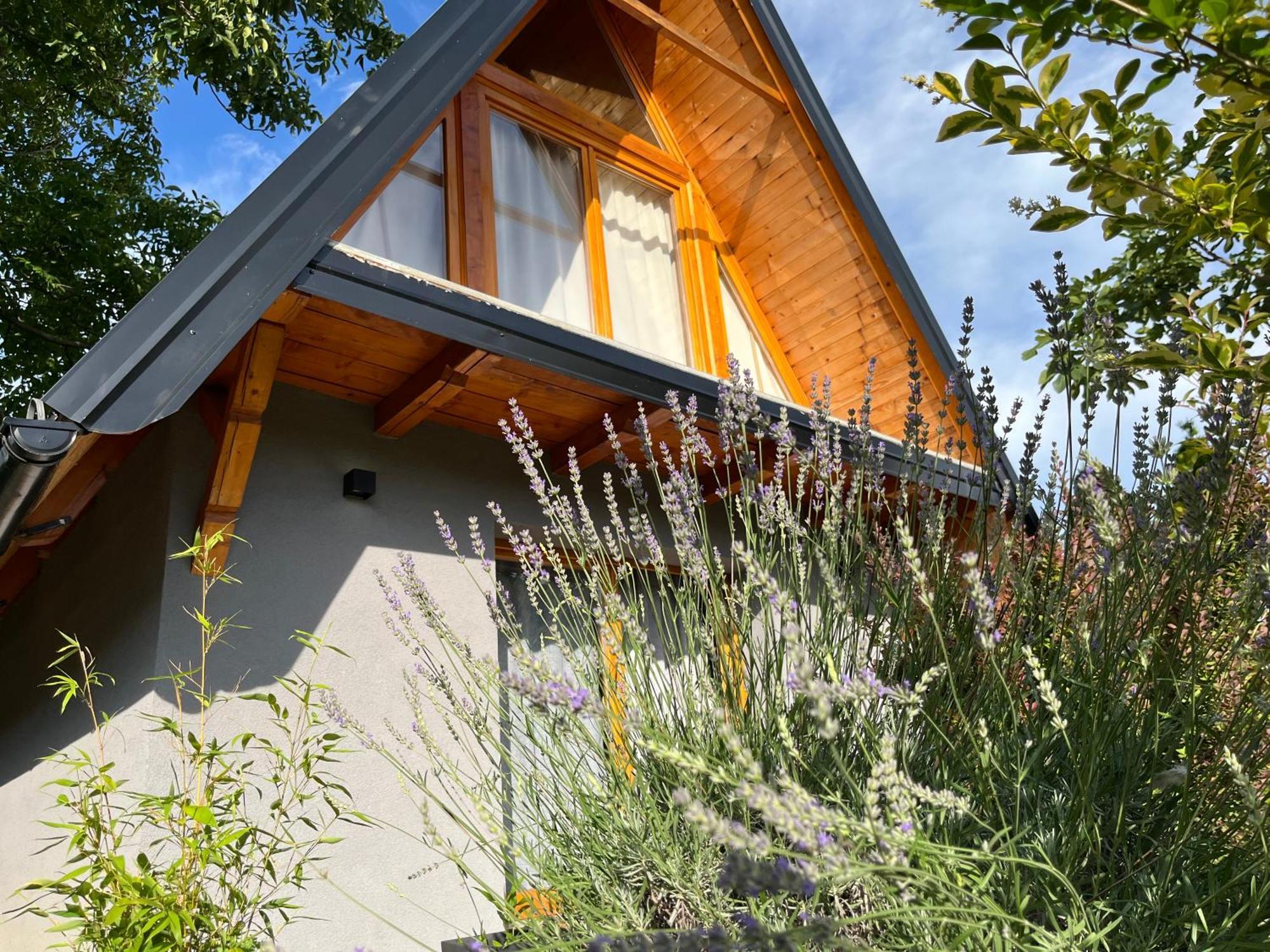Petrovaradin Chalet Novi Sad Exterior photo